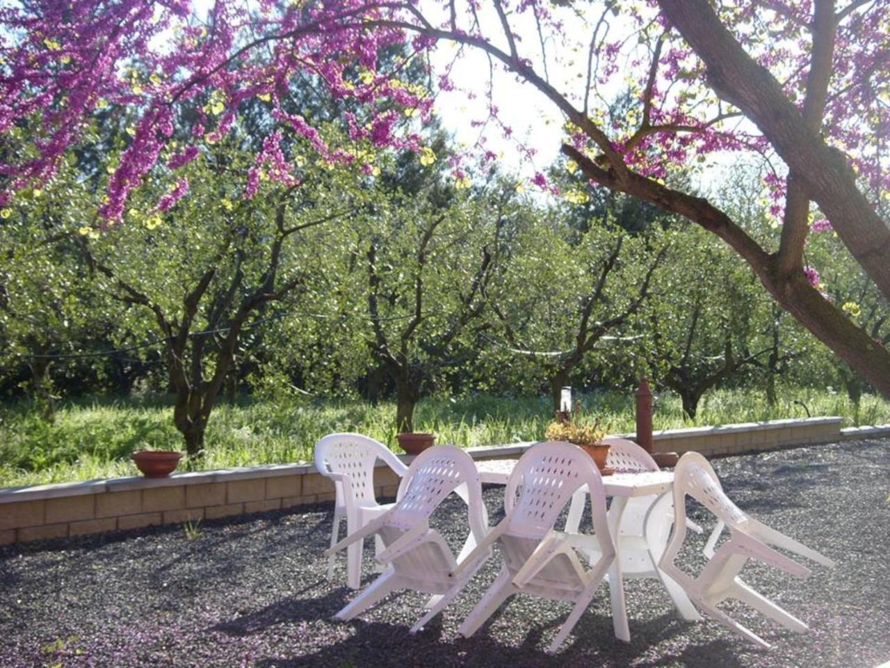 Villa La Ripa Del Drago Bibbona Exterior foto